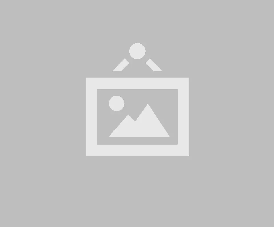 25645000 SEO Backlinks
